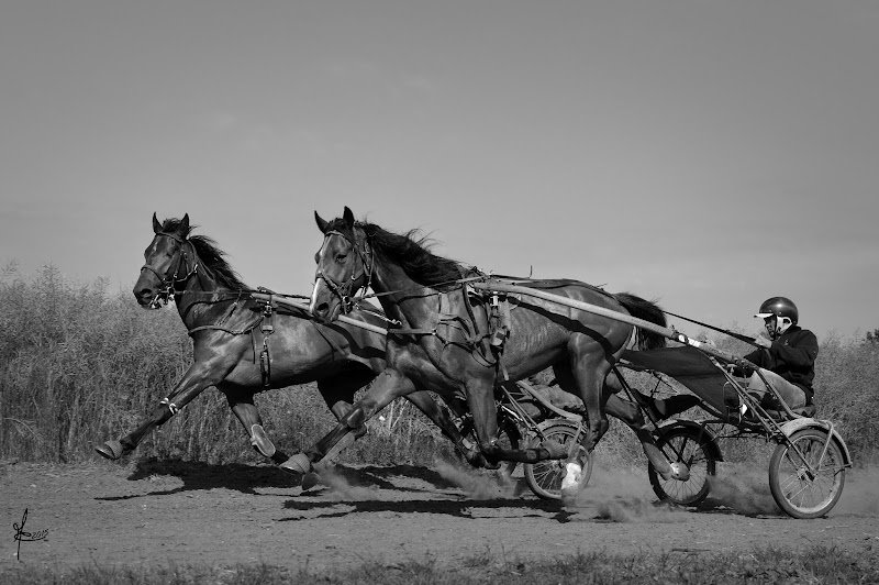 Ecurie Andrieu - Francois Andrieu - photo 1