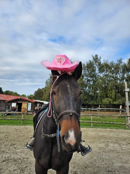 LES ÉCURIES DU PERREUX - photo 1