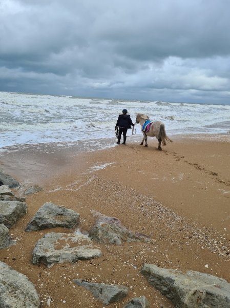 LES ÉCURIES DU PERREUX - photo 2