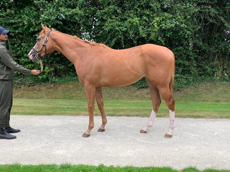 Earl Ecurie Prevost Baratte - photo 2