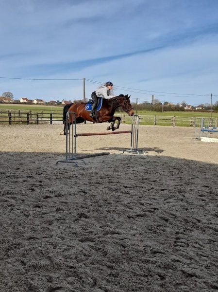 Centre équestre du Bief - photo 1