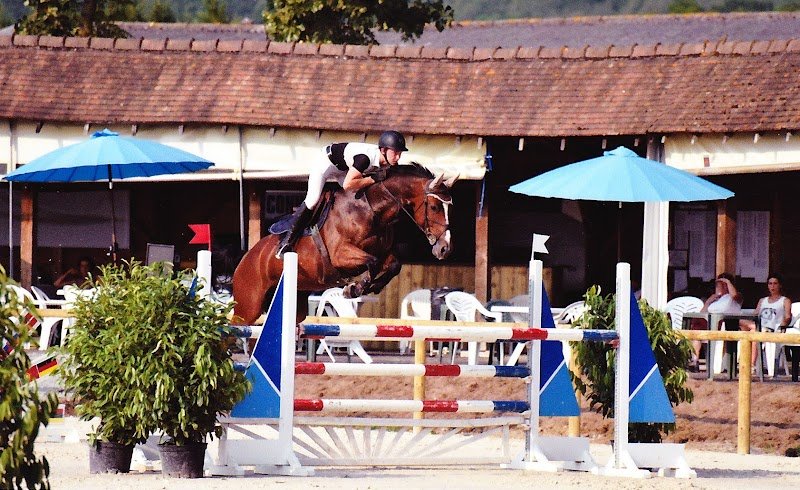 SCEA du Haras d'Eglefin