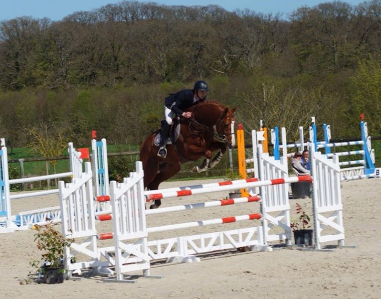 SCEA du Haras d'Eglefin - photo 2