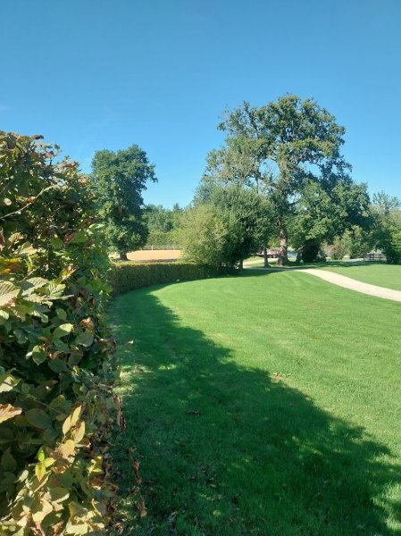 Haras de la Chesnaye - photo 3