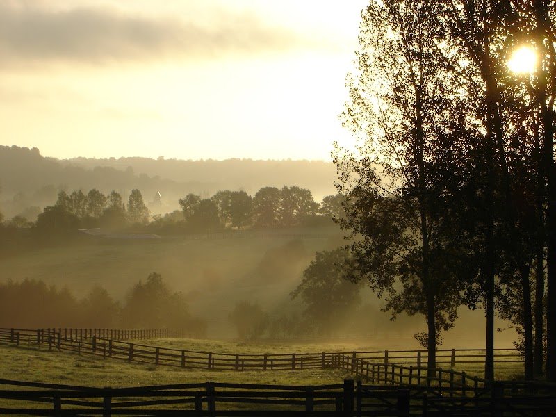 Haras de la Morsanglière - photo 1