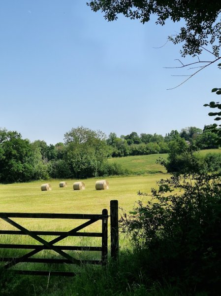 Ecurie Team Shock - photo 1
