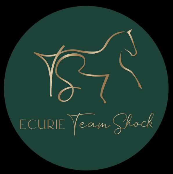 Ecurie Team Shock - photo 2