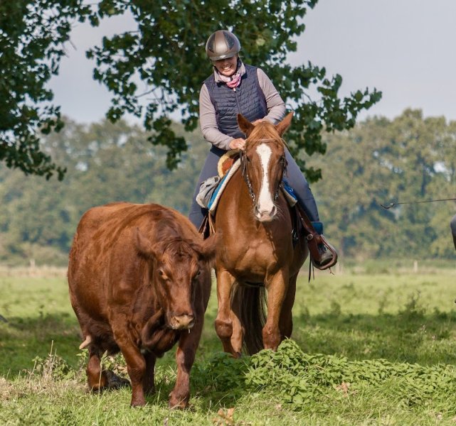 Haras de Nonant Le Pin - photo 1
