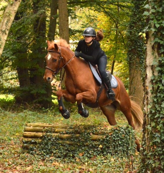 Centre Equestre du Brévedent