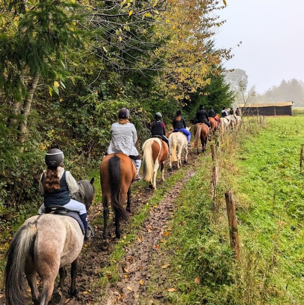 Centre Equestre du Brévedent - photo 2