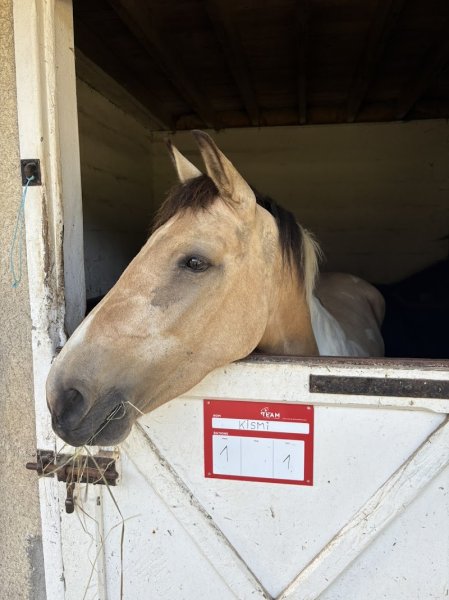 Centre Equestre du Brévedent - photo 3