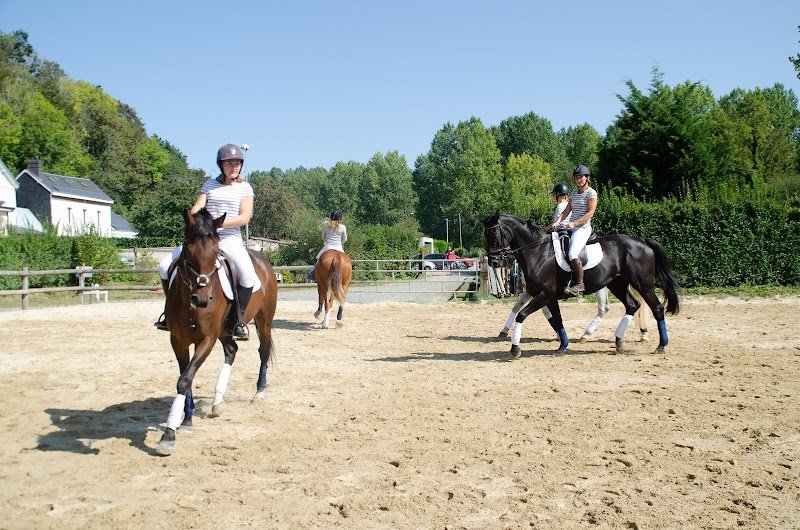 Zaï Dressage Écurie de propriétaire - photo 1