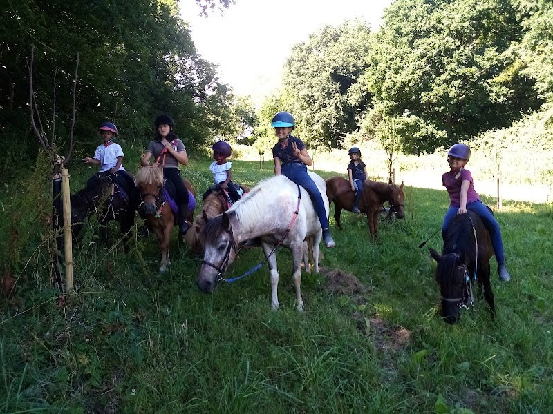 Zaï Dressage Écurie de propriétaire - photo 2