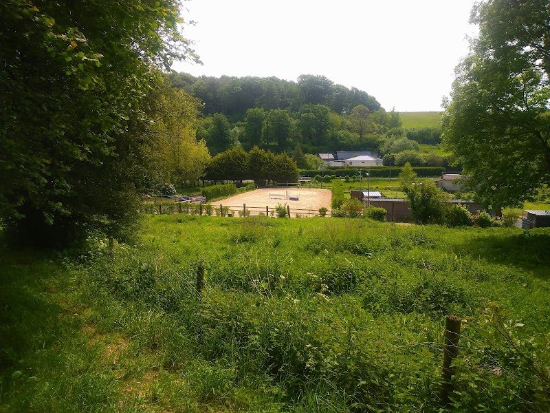 Zaï Dressage Écurie de propriétaire - photo 3