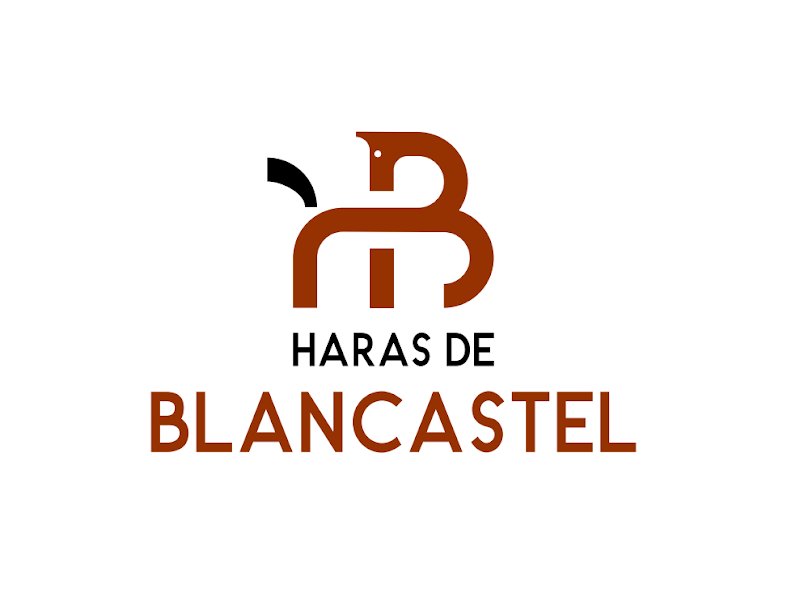 Haras de Blancastel - photo 2