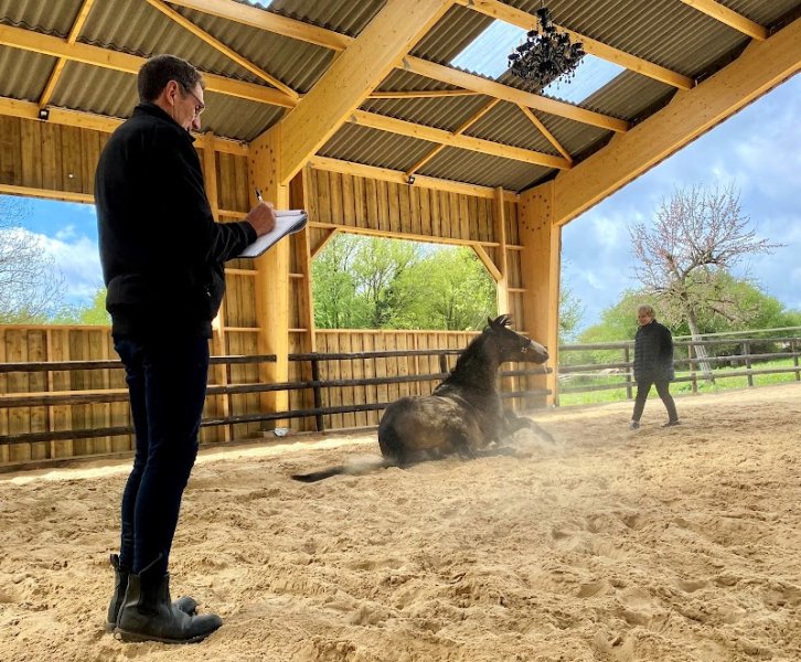 Les Chevaux de la Martinière - Equicoaching