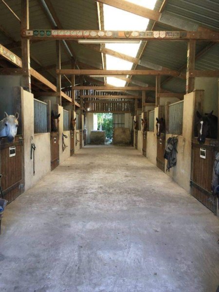 Écurie Smart/ Élevage de l'Ode - photo 1