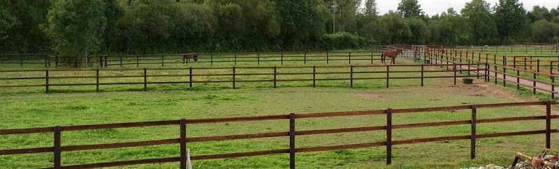 Écurie Smart/ Élevage de l'Ode - photo 2