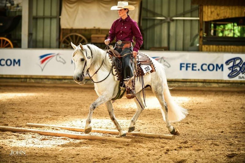 FeelYourHorse/Julia Rihn Equitation@ LaHerrie - photo 3
