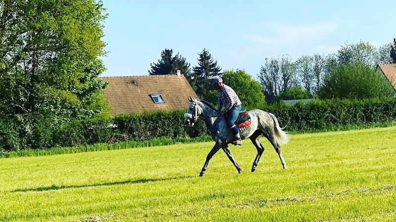 Écurie Minervini maxime - photo 1