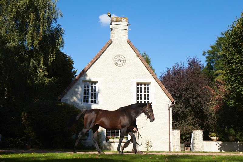 Haras Du Logis Earl