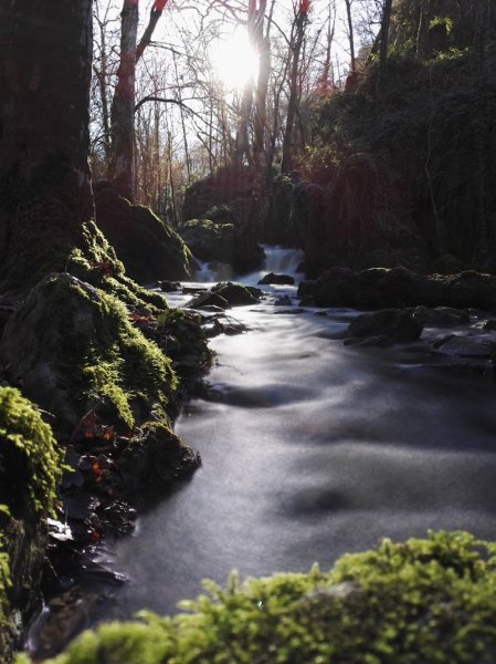 Poney Club De La Brèche - photo 2