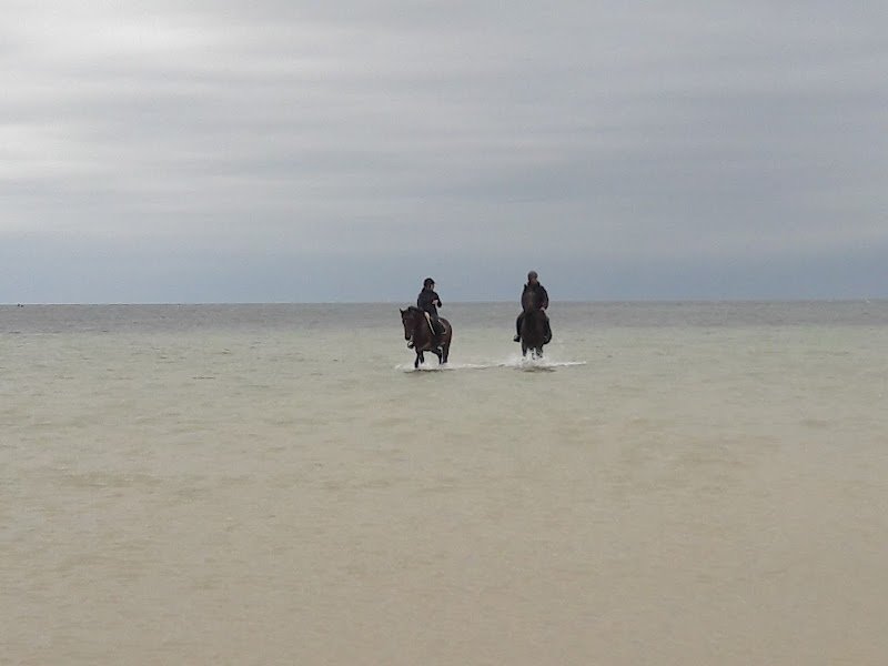 Écurie des sous-bois