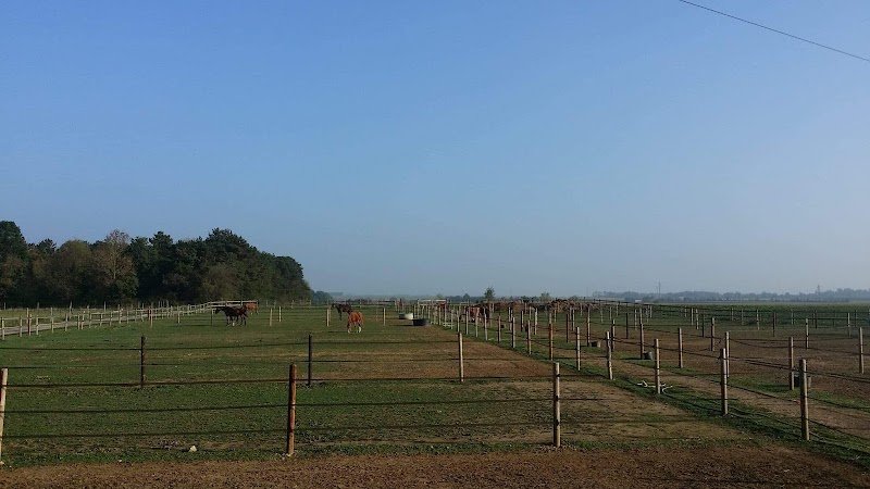 Écurie des sous-bois - photo 3