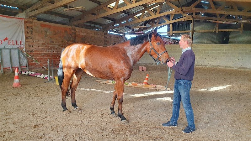 Ecurie d'Elle - photo 1