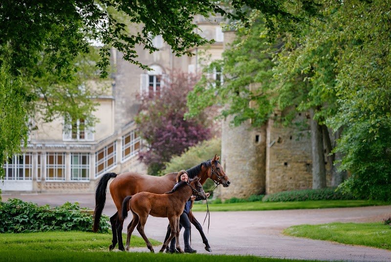 Haras d'Etreham
