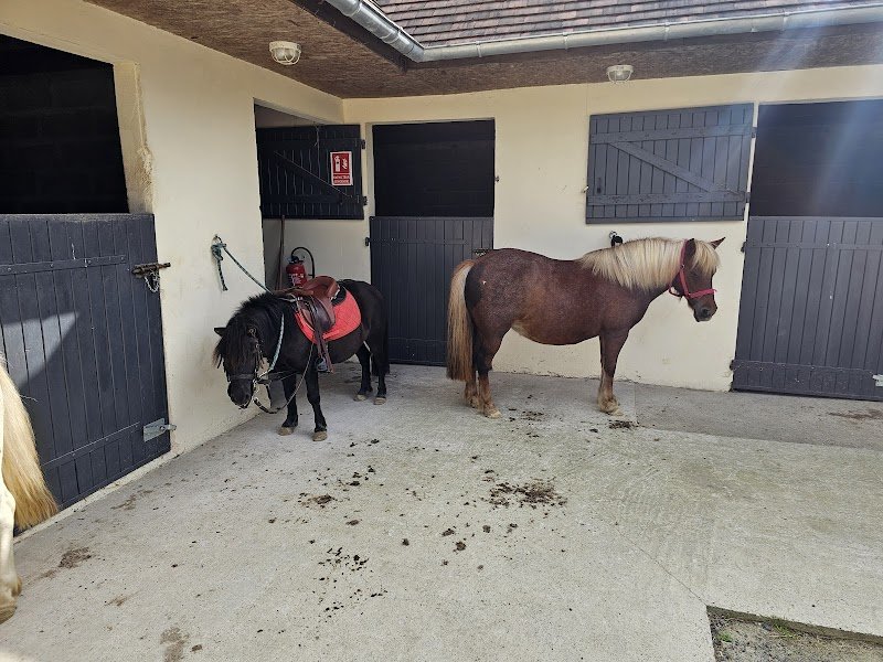 Les cavaliers de la bruyère - photo 1