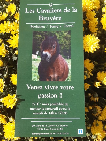 Les cavaliers de la bruyère - photo 3