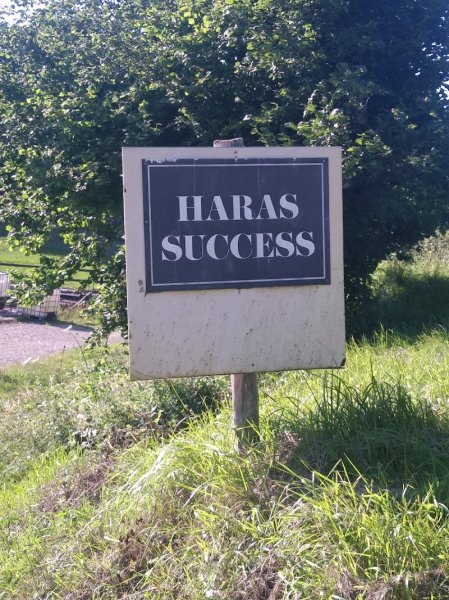 Haras success