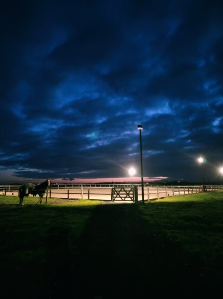 SARL Écuries de la Londe - photo 2