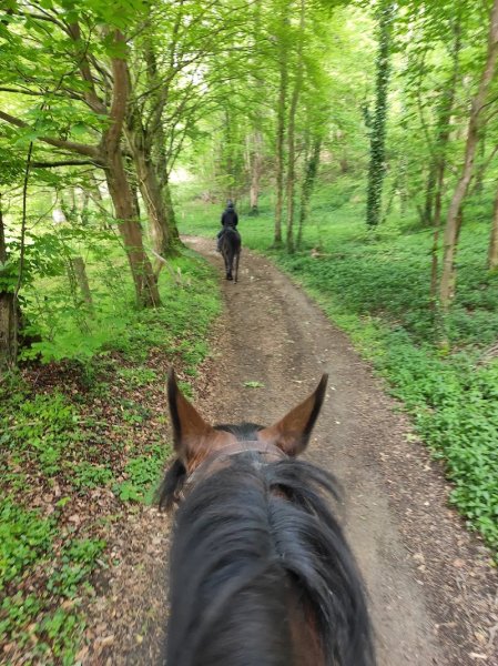 Ecurie La Ferme du Manoir - photo 2