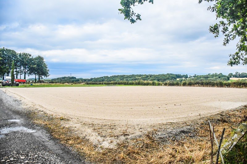 Ecurie Marc Claeyssens - Haras de Riton - photo 2