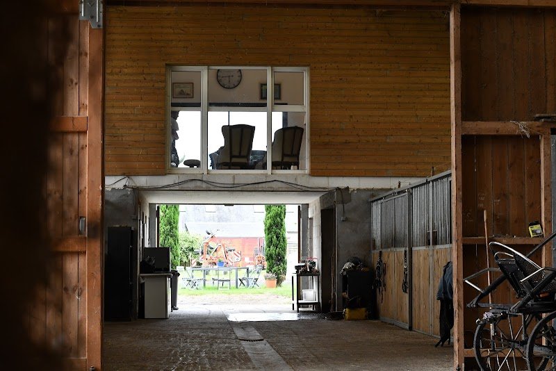 Ecurie Marc Claeyssens - Haras de Riton - photo 3