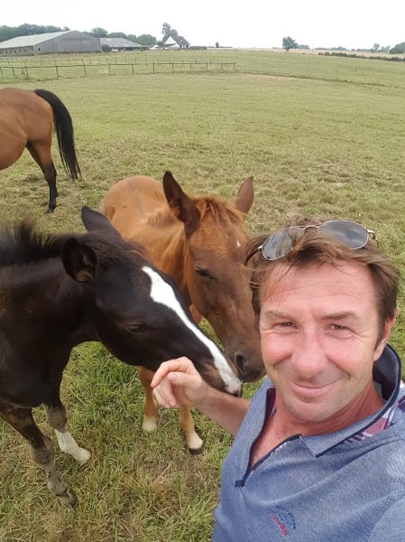 Haras Du Grand Brunville - photo 2