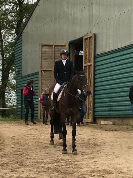 Haras Du Grand Brunville - photo 3