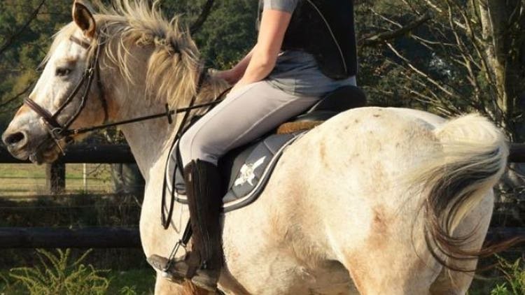 Ecurie My'den - photo 1