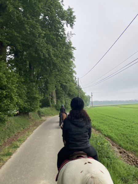 Les écuries de Grâce - photo 3