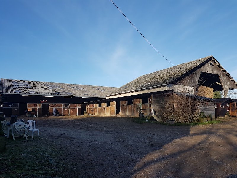 Haras Du Cèdre - photo 1