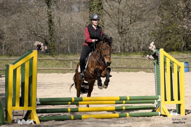 Haras Du Cèdre - photo 3