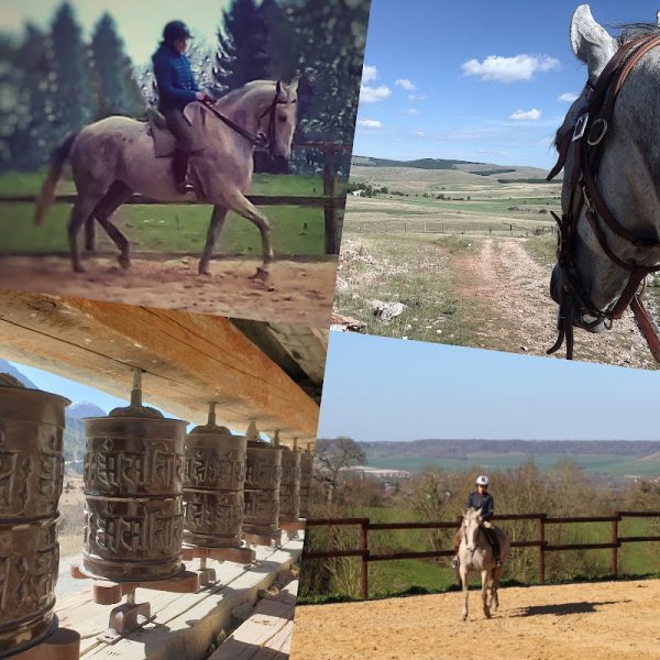 Ecurie Cadence et Epices - photo 1