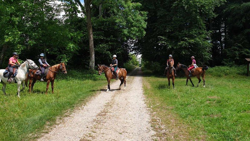 Ecurie Cadence et Epices - photo 2