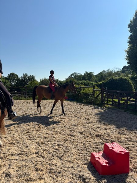 Ecurie Cadence et Epices - photo 3