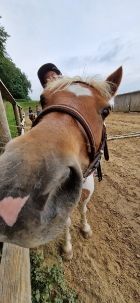 Ecuries de la Boisette - photo 3