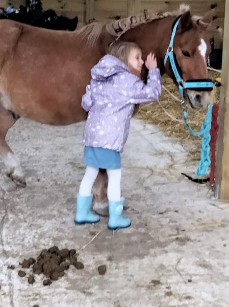 Écurie du Val - photo 1