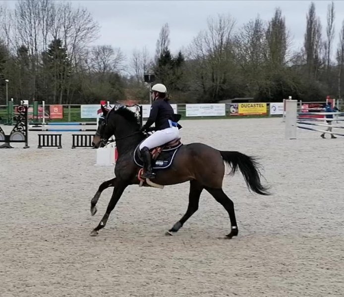 ECURIES DESTINY S - photo 1