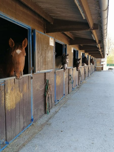 ECURIES DESTINY S - photo 3